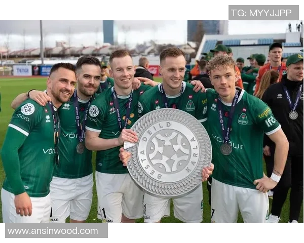 冰岛足球明星队长的辉煌历程与成就解析