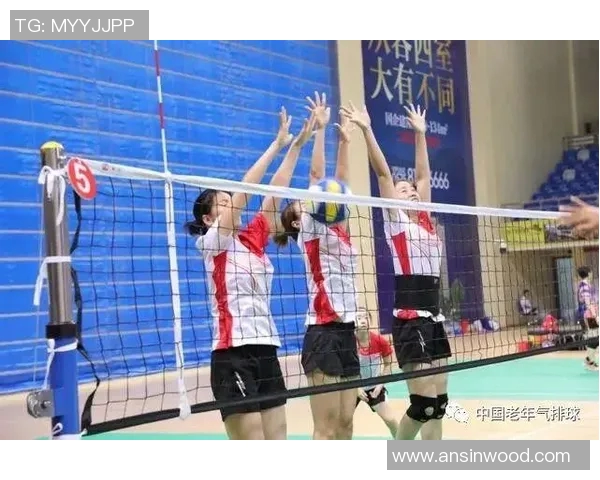 北京排球队耐力对比深度解析与训练策略探讨 北京排球队耐力对比深度解析与训练策略探讨