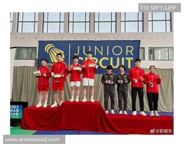 南京羽毛球队荣登羽毛球个人能力排行榜首位引领全国水平 南京羽毛球队荣登羽毛球个人能力排行榜首位引领全国水平