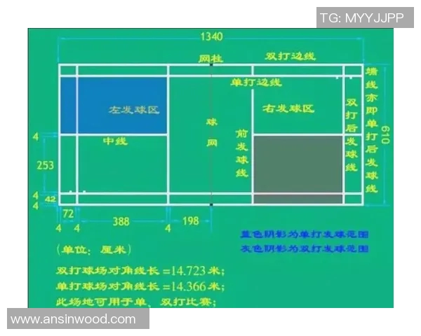 广州羽毛球队在冠军赛中的默契配合与战术分析 广州羽毛球队在冠军赛中的默契配合与战术分析