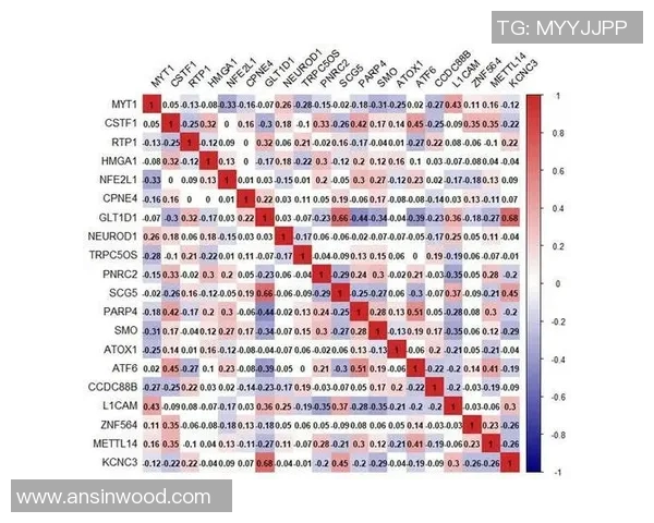 成都篮球队配合表现的数据分析与战术优化研究 成都篮球队配合表现的数据分析与战术优化研究