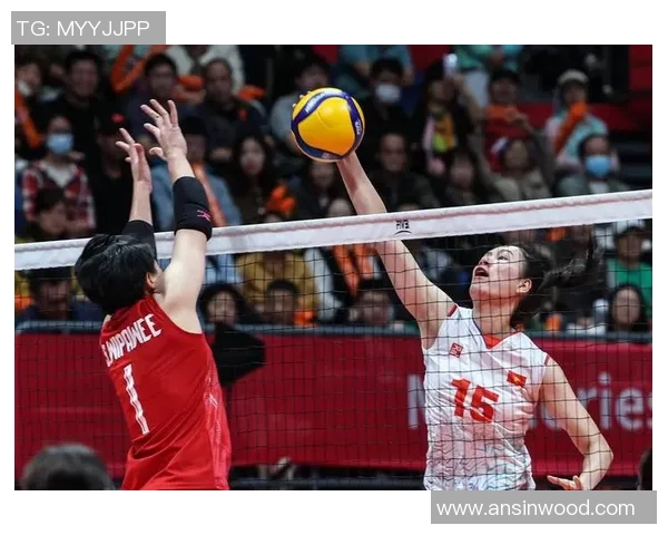 杭州排球队总决赛之路：从逆境中崛起的辉煌历程与未来展望