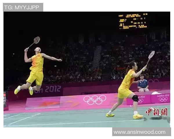 杭州羽毛球队在世界锦标赛中的默契配合与战术分析