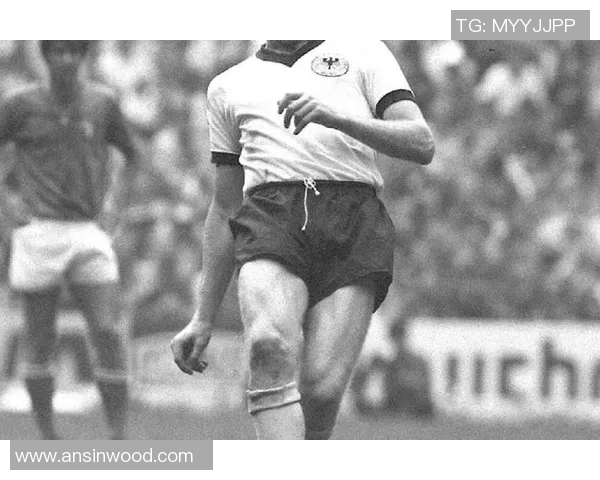 重生之足球巨星的逆袭人生从草根到巅峰的传奇旅程 重生之足球巨星的逆袭人生从草根到巅峰的传奇旅程