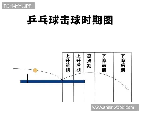 乒乓球战术：西安乒乓球队的运营体系