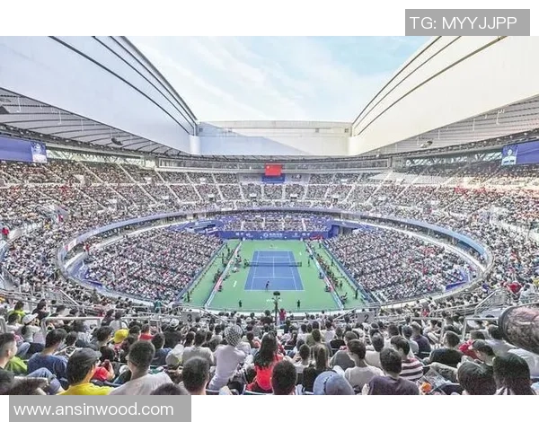 网球深度:解密武汉网球队的阵地战