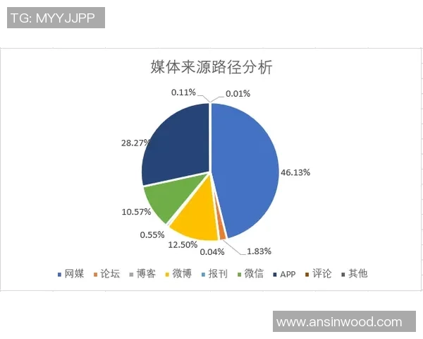 数据分析：深圳排球队的实力表现