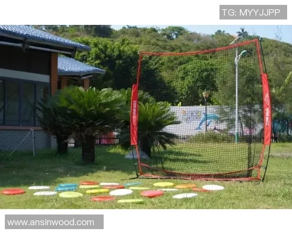 飞盘新手攻略：团队协作入门指南_1