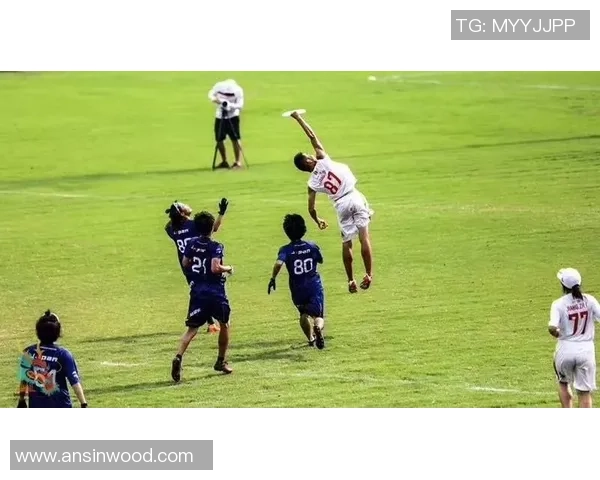 飞盘焦点：南京飞盘队的力量探讨