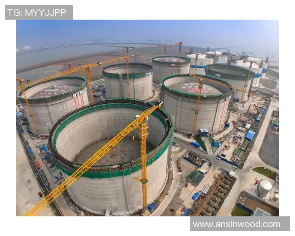 独家分析:LNG的状态对比