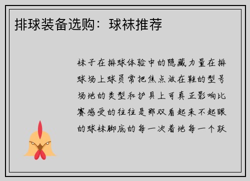 排球装备选购：球袜推荐