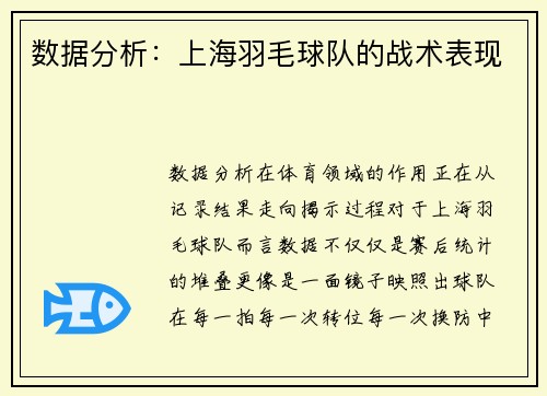 数据分析：上海羽毛球队的战术表现