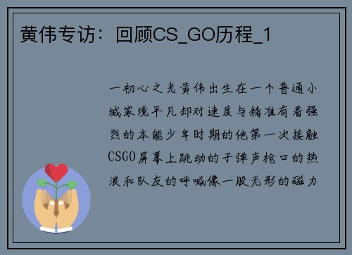 黄伟专访：回顾CS_GO历程_1
