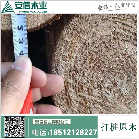 杭州打桩木厂家，专业提供高质量的木质打桩产品插图2