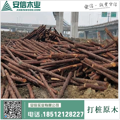 探寻上海打桩木的故乡插图