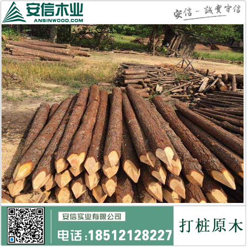 滨州打桩木厂=打造高品质木材，为建筑工程保驾护航插图2