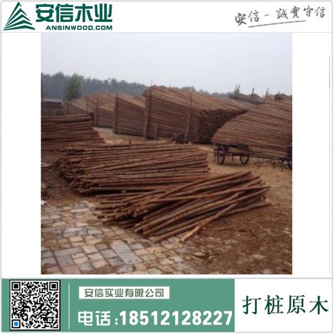扬州打桩木品牌厂家，为您打造高品质木材产品插图