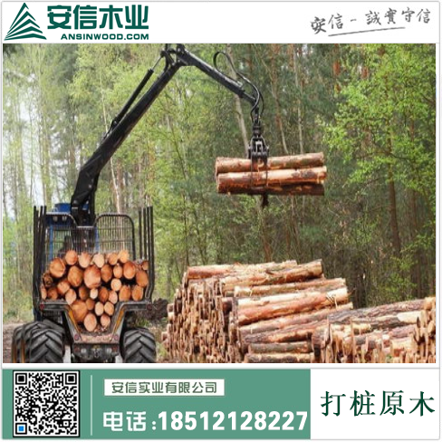 浙江3米打桩木:打造高效稳固的建筑基础插图1