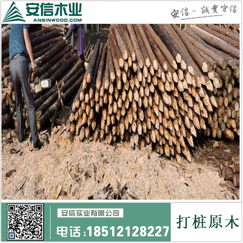 广东5米打桩木价格查询及相关信息缩略图