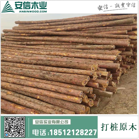 上海打桩木经营部|为您提供专业的木材加工和销售服务插图