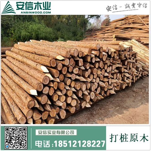 佛山供应打桩木，为您提供高质量的建筑基础设备插图2