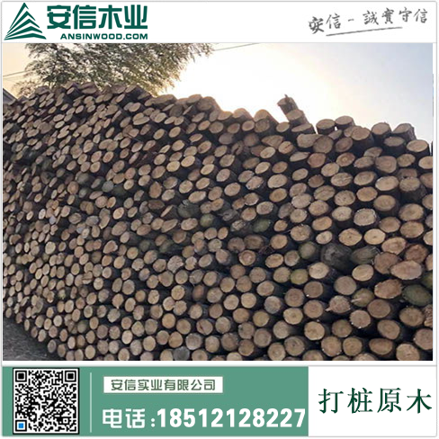 惠州哪里有打桩木材卖插图3