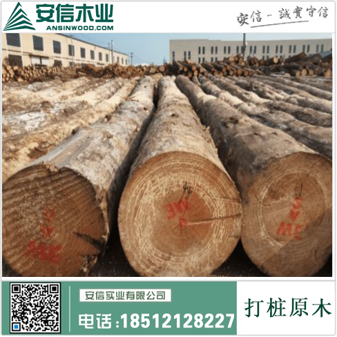 杭州打桩木厂家，专业提供高质量的木质打桩产品插图1