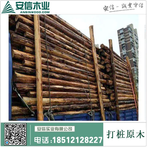 杭州油松打桩木=打造城市绿色生态的力量插图2