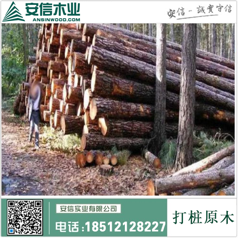 株洲6米打桩木规格解析插图