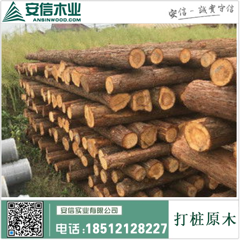 桂林油松打桩木|自然之美与工程之精的完美结合插图2
