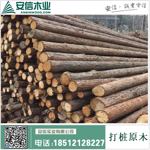 云南6米打桩木供应，优质木材，价格实惠，欢迎选购！插图2