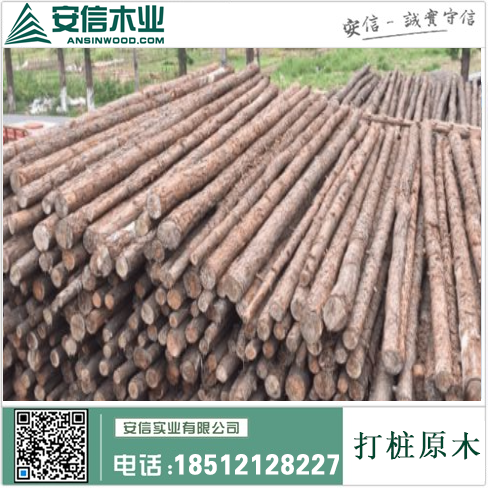 上海打桩木经营部|为您提供专业的木材加工和销售服务缩略图