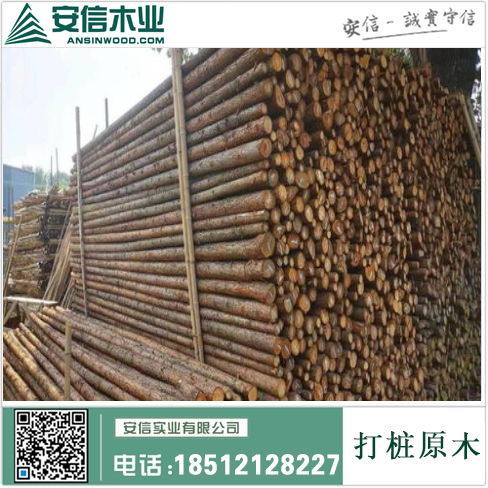 扬州打桩木品牌厂家，为您打造高品质木材产品插图3