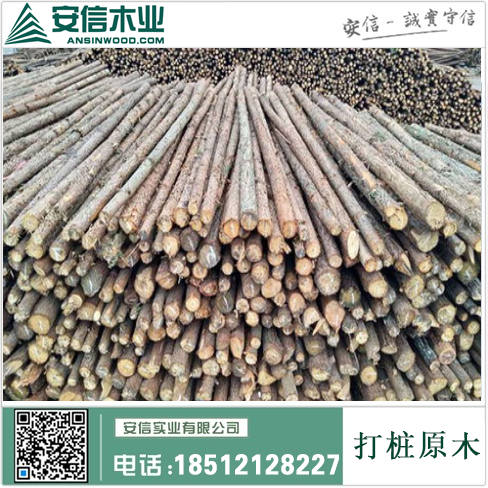 湘潭5米打桩木供应，高质量打桩木，价格实惠，欢迎选购！插图
