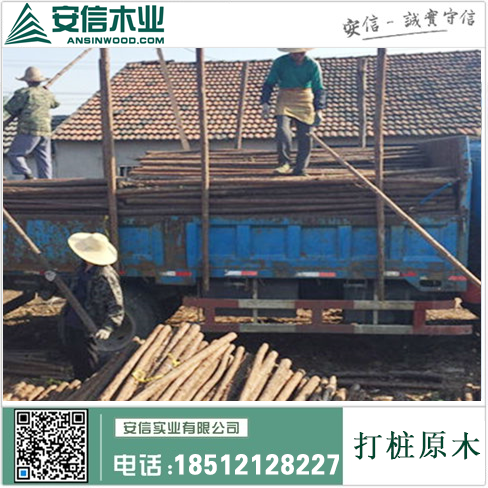乐山5米打桩木供应，助您建设工程如虎添翼！插图2