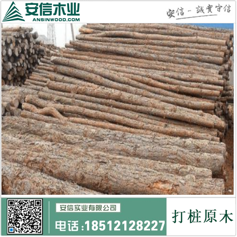 儋州松树打桩木材-品质卓越，打造稳固基石插图