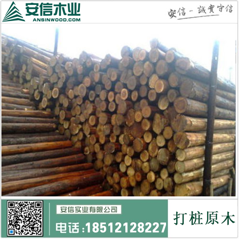 台州打桩木厂家-专业提供高质量的打桩木产品插图