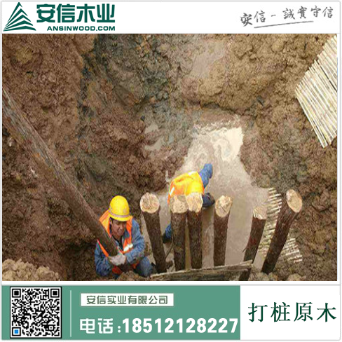 探索上海松木打桩木的多功能应用与价值插图4
