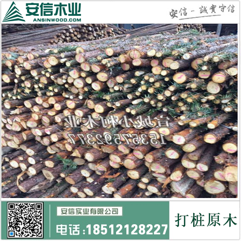 河南郑州建筑打桩木工工程公司插图