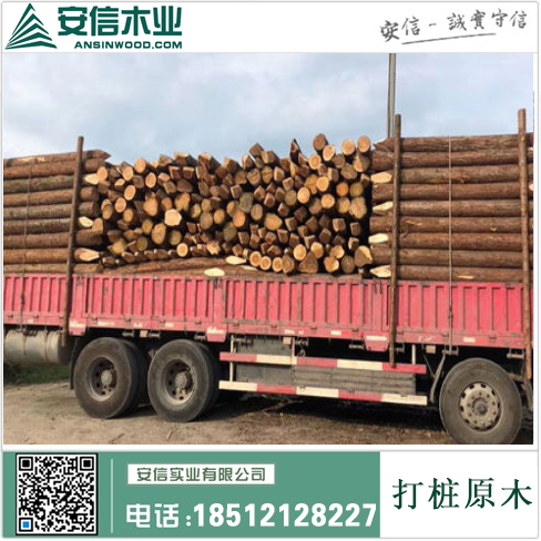 南昌6米打桩木批发厂家，优质木材，低价供应，全国覆盖！插图