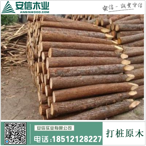 青州防腐打桩木|打造坚固耐用的建筑基础缩略图