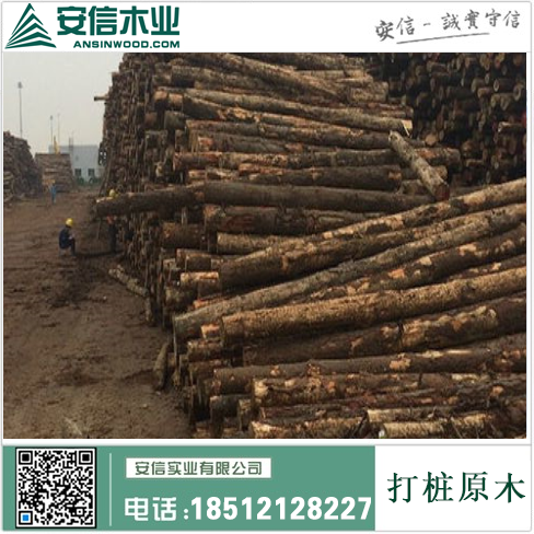 河南郑州建筑打桩木工工程公司插图4