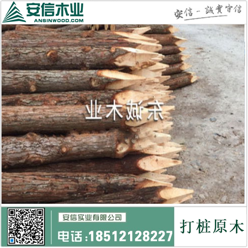 广东打桩木批发市场:打造最全最优质的木材采购平台缩略图