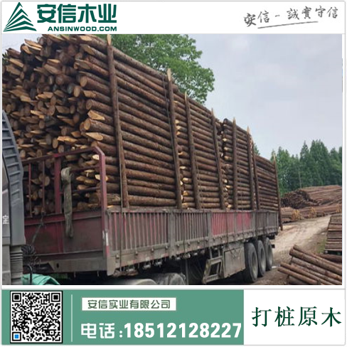 九龙县江西6米打桩木厂家推荐缩略图
