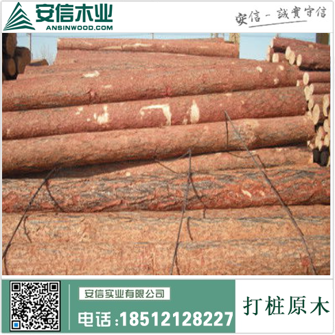 台州打桩木厂家-专业提供高质量的打桩木产品插图2