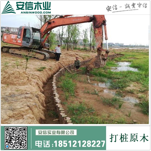 青州防腐打桩木|打造坚固耐用的建筑基础插图