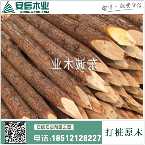 无锡打桩木制造商|为您提供高质量的木制打桩产品插图