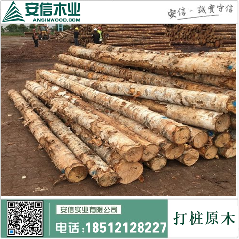 惠州打桩木材哪里有卖插图2
