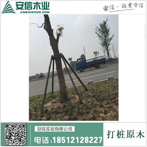 南京打桩木材供求信息缩略图