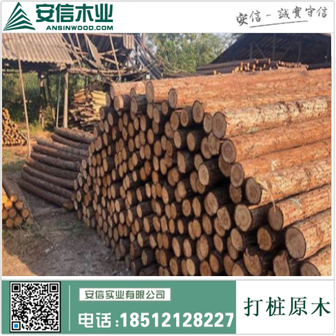 广东常年大量收购打桩木插图3
